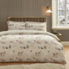 Cosy Winter Dungannon Tyrone